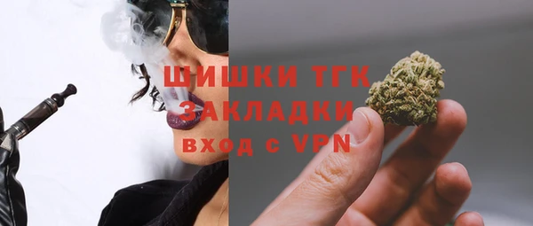 тгк Магас