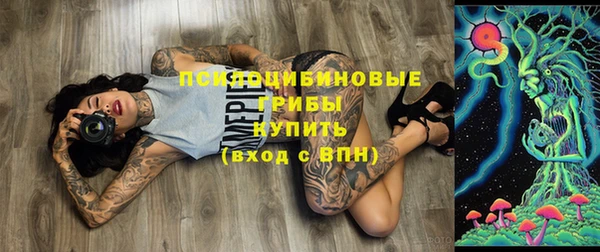 spice Горно-Алтайск