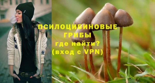 сатива Майский