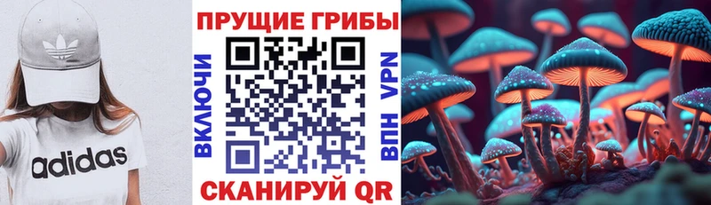 Псилоцибиновые грибы мицелий  Плавск 